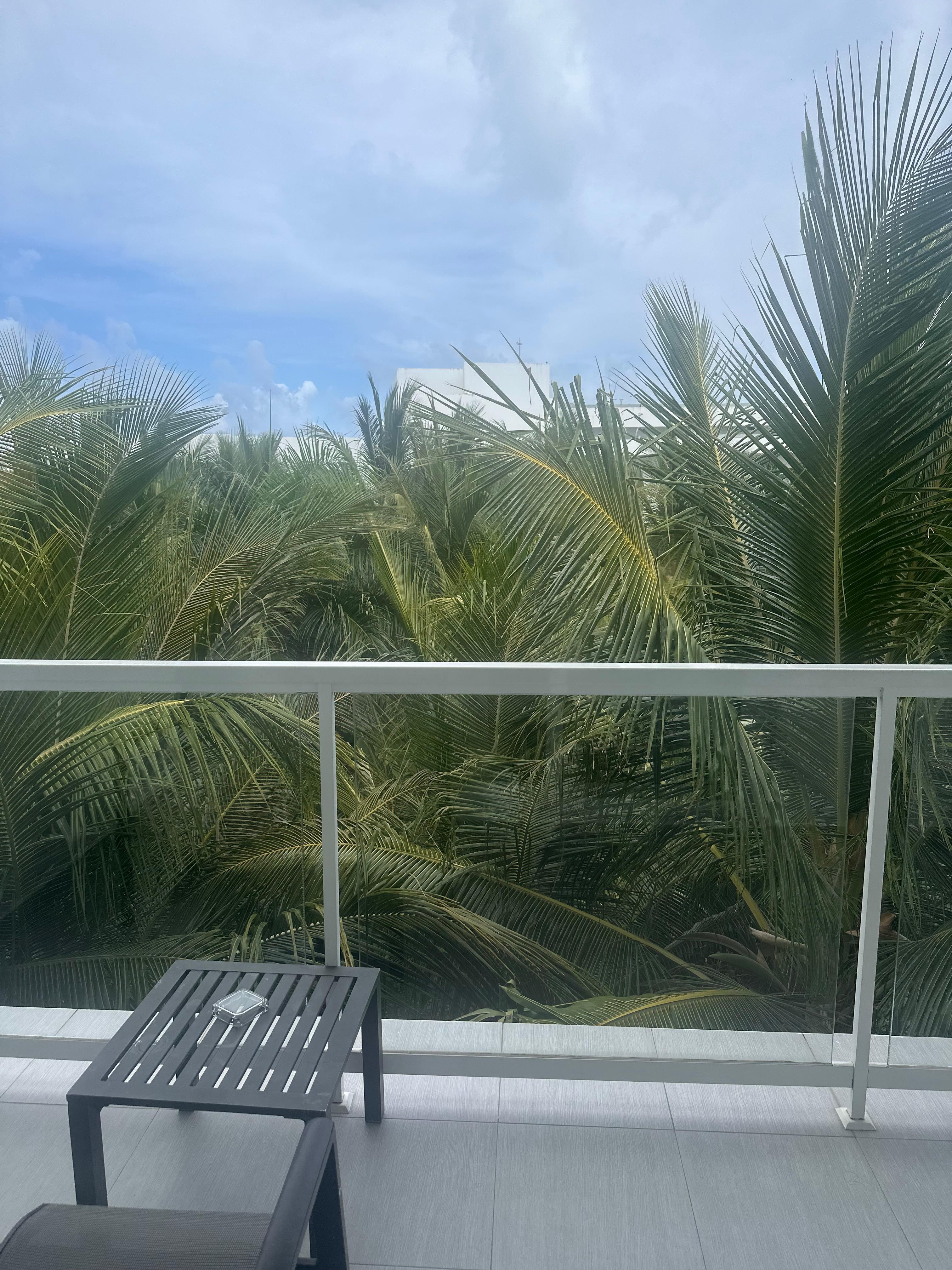 The view we ended up with after paying for an ocean view suite.