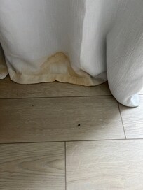 Stained curtains