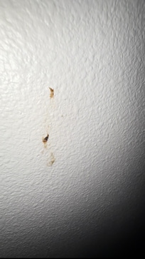 On the wall in the bottom bunk