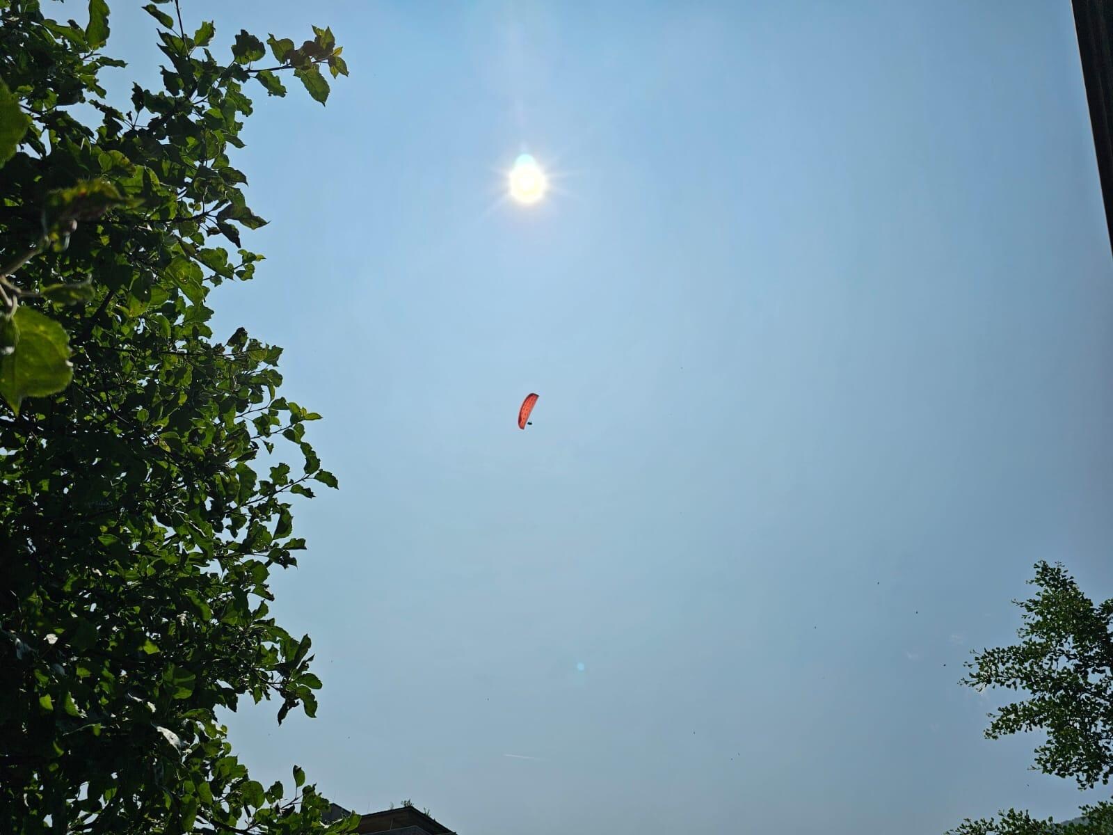 Aus dem Garten in den Himmel