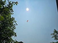 Aus dem Garten in den Himmel