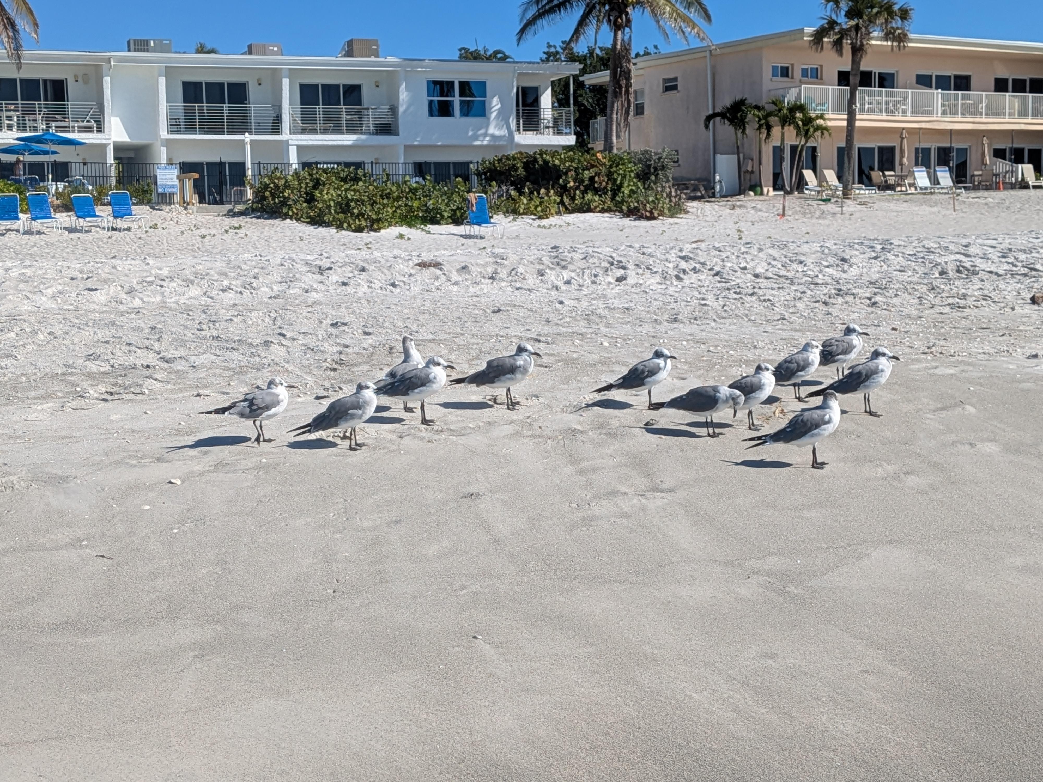 View of the building, from the water