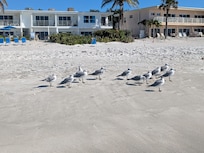 View of the building, from the water