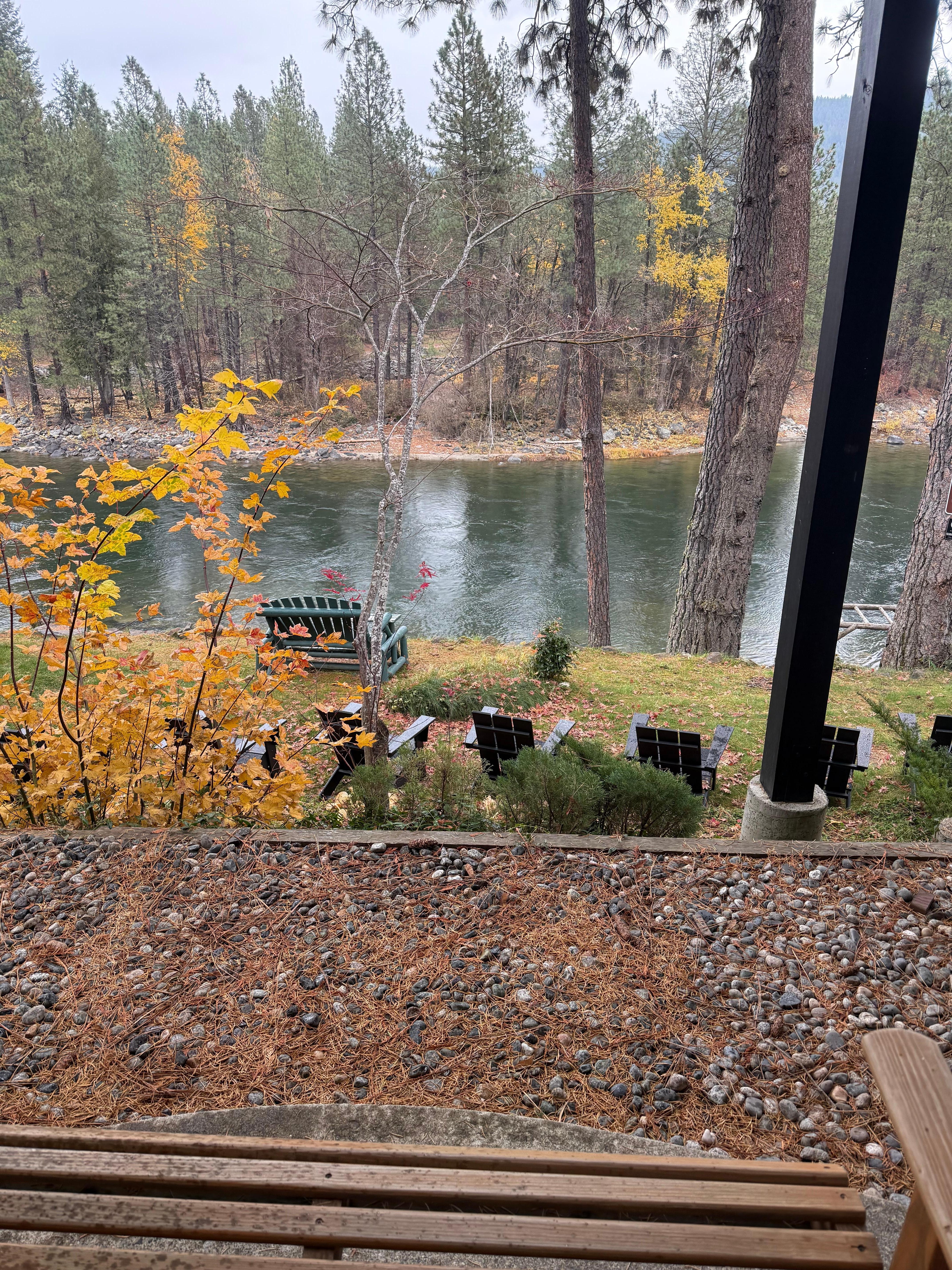 The view from the patio