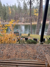 The view from the patio