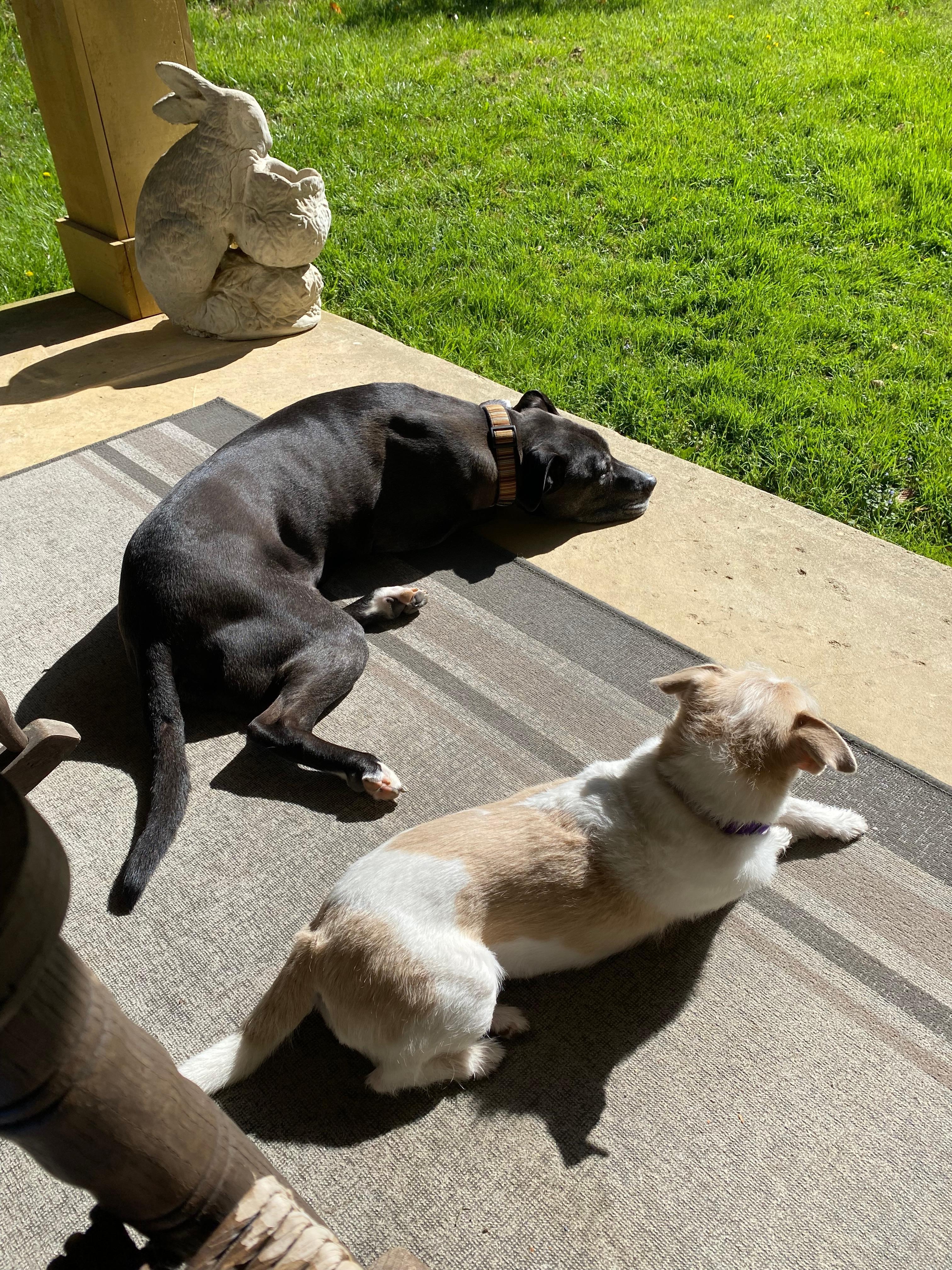 We all loved sitting on the porch listening to the many birds. Looking out over the wonderful yard. 