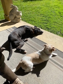 We all loved sitting on the porch listening to the many birds. Looking out over the wonderful yard.