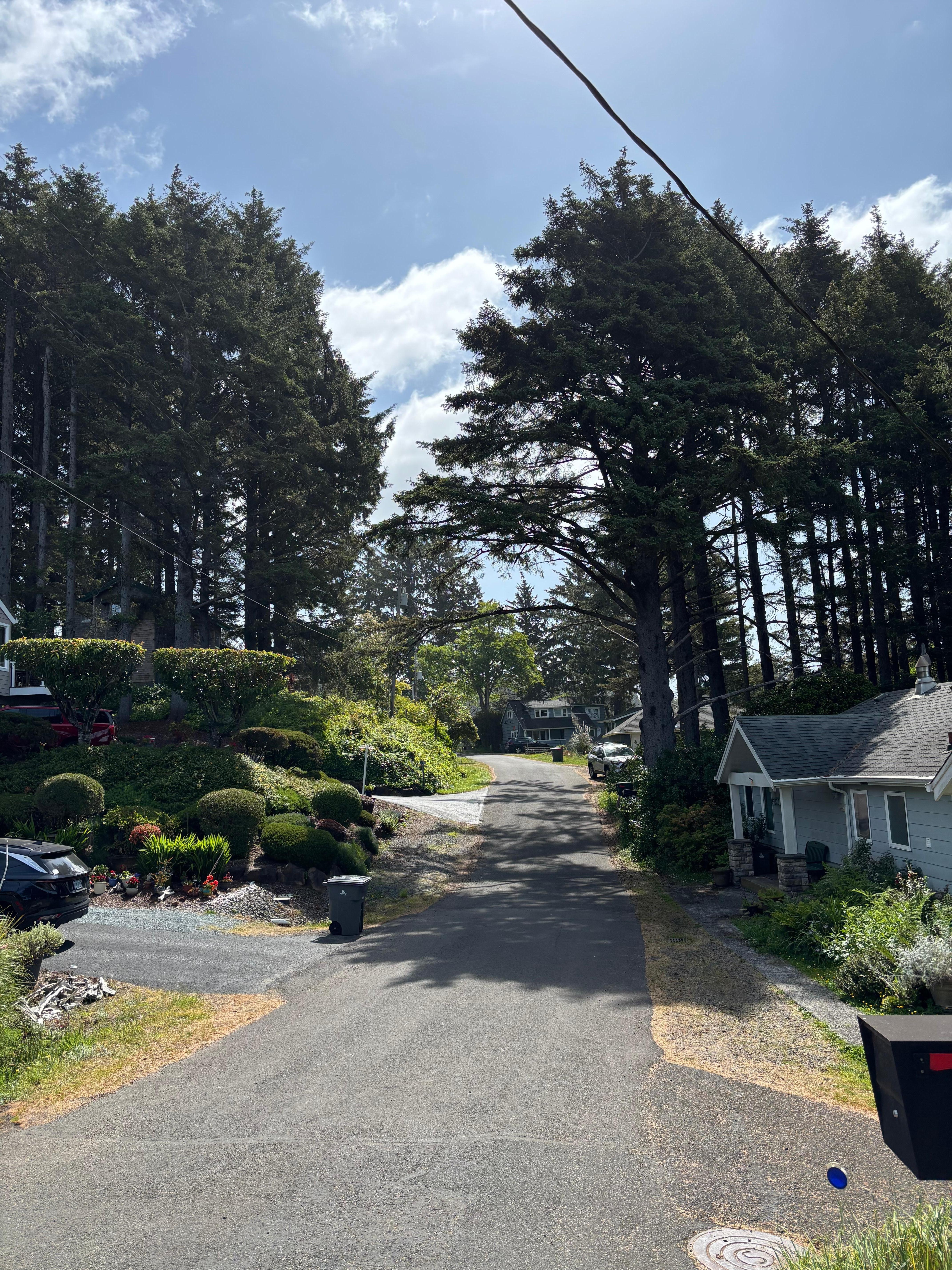 Walking back from beach.  House is in center.
