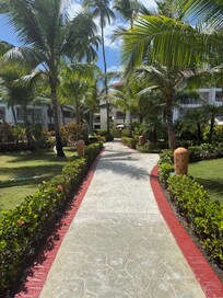 Beautiful walking scene!
