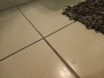 Hairs on the bathroom floor