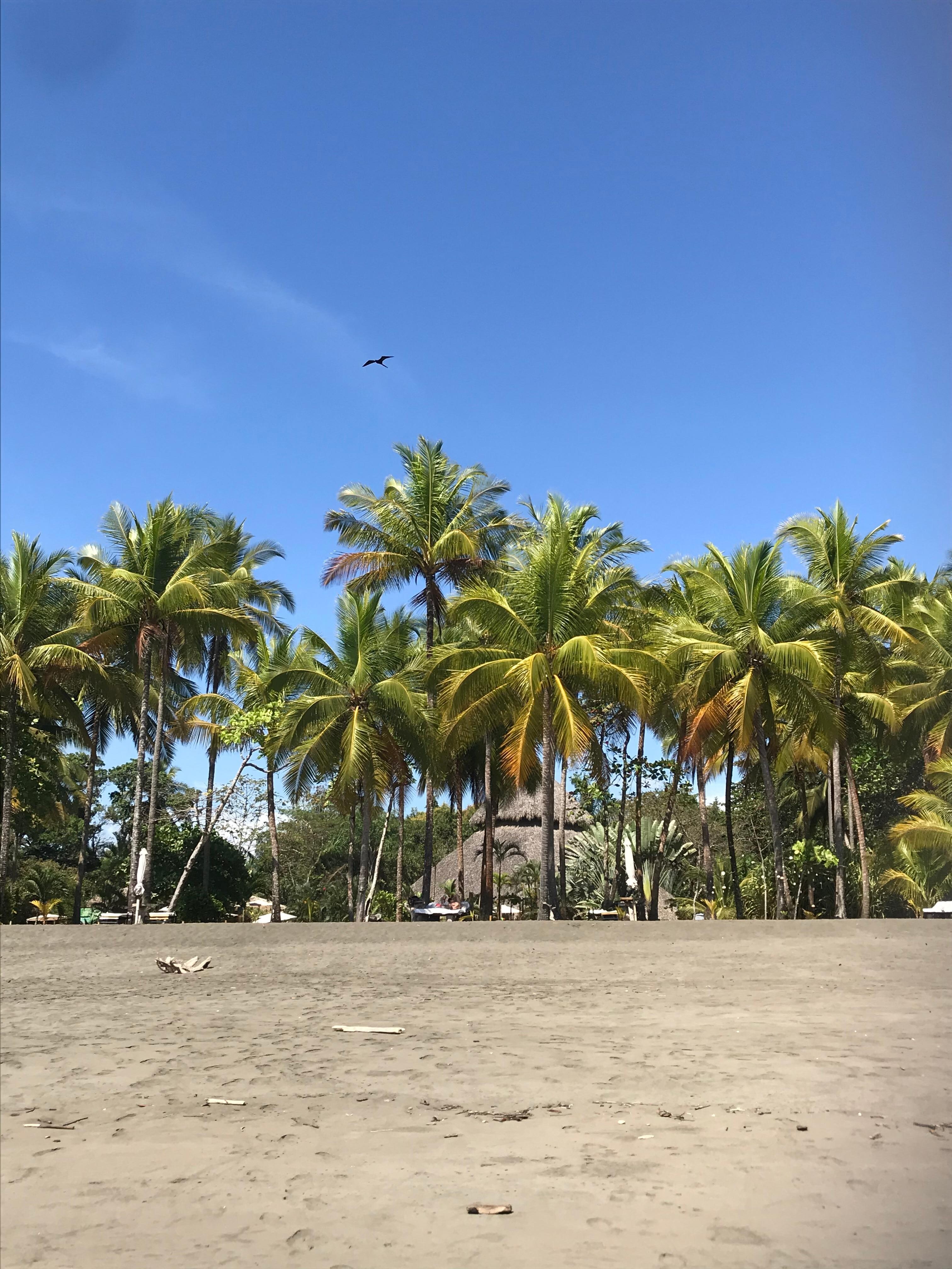 View from the beach.