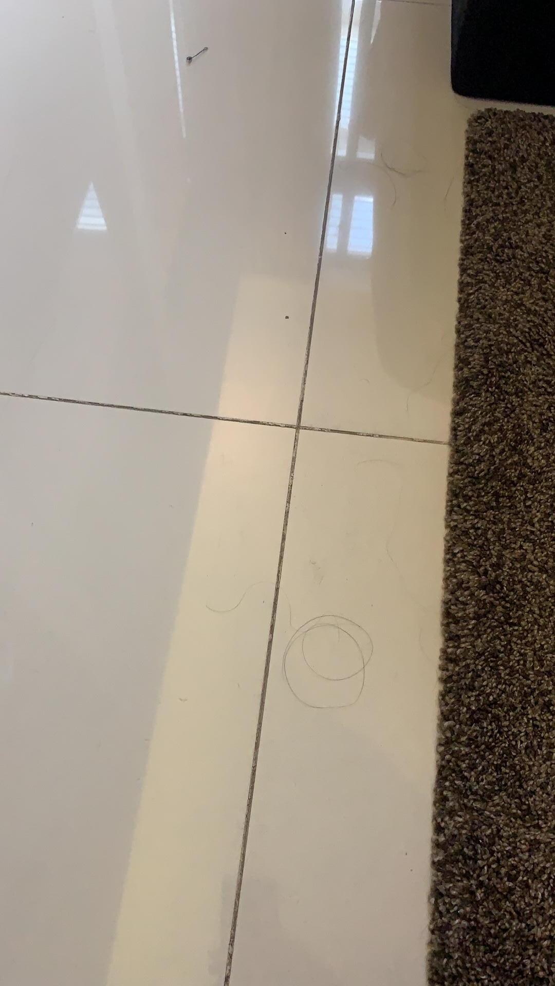 Hairs on the floor