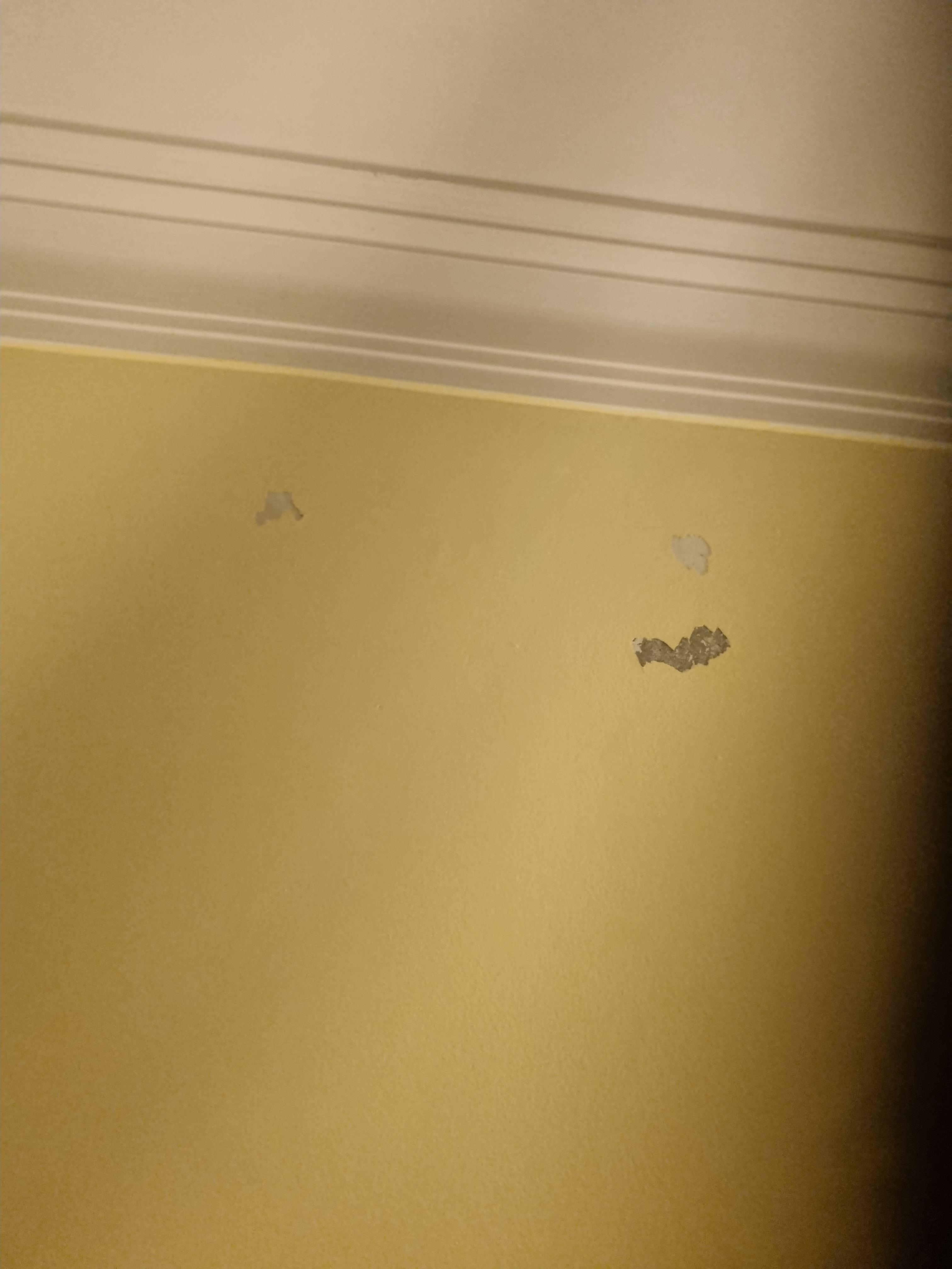 pareti con macchie e pittura ed intonaco scrostato