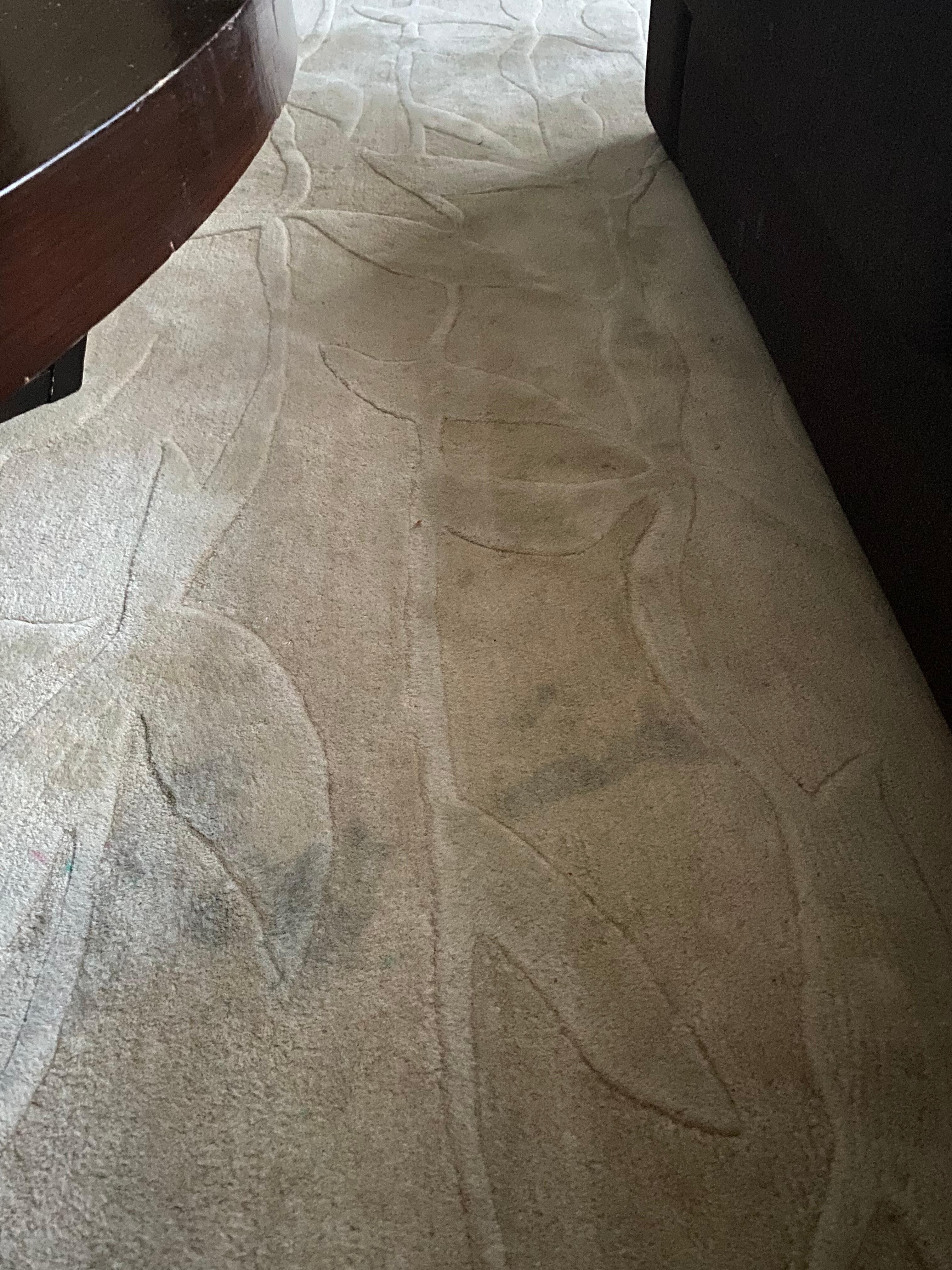 Dirty carpets 