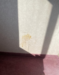random stain on wall