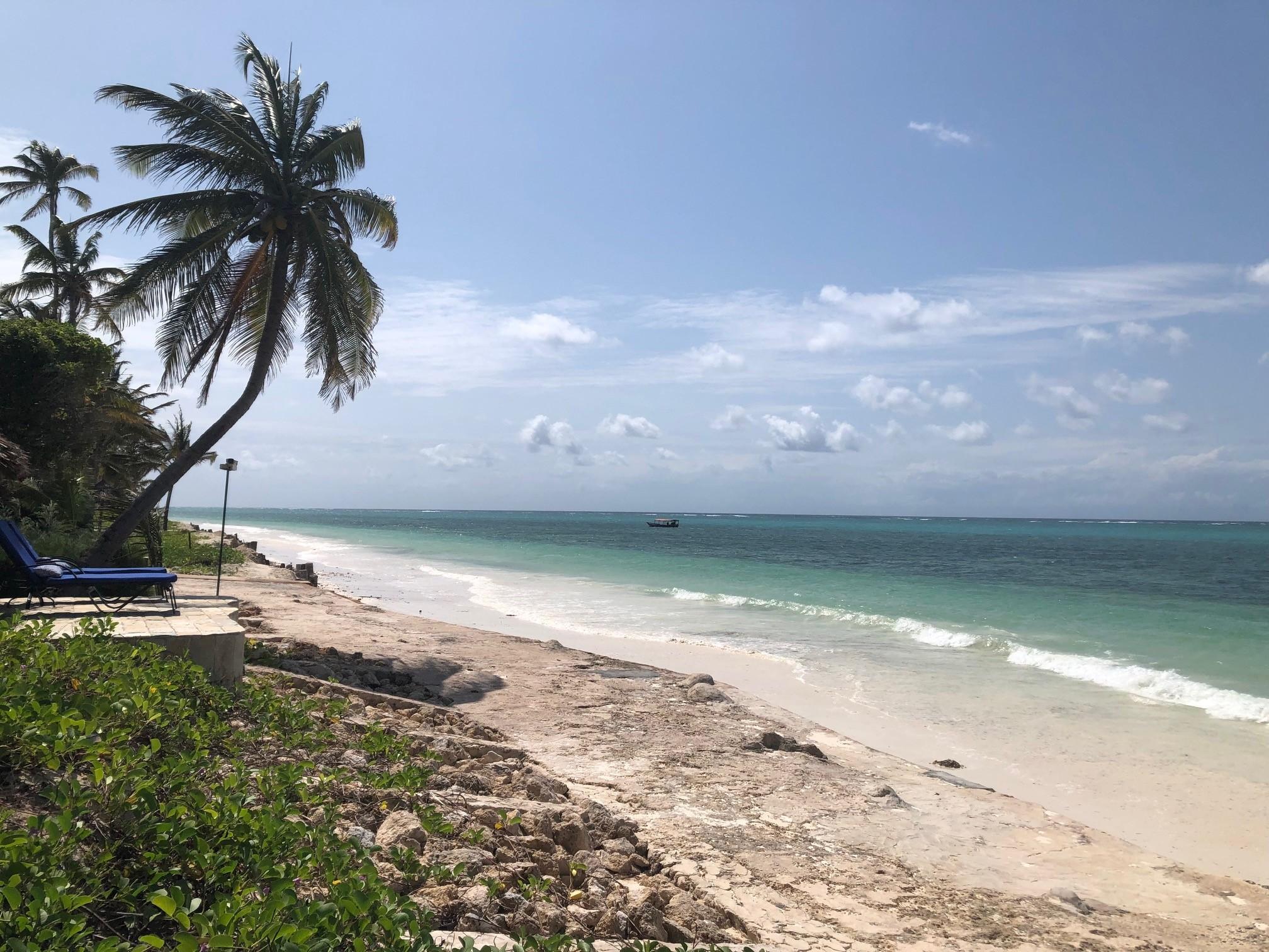 Shoreline view from our cabana