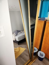 Broken Closet door