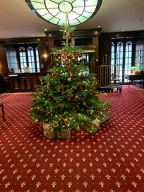 Love you and they had just put up the Christmas tree not a fake one, the real deal. Beautiful.