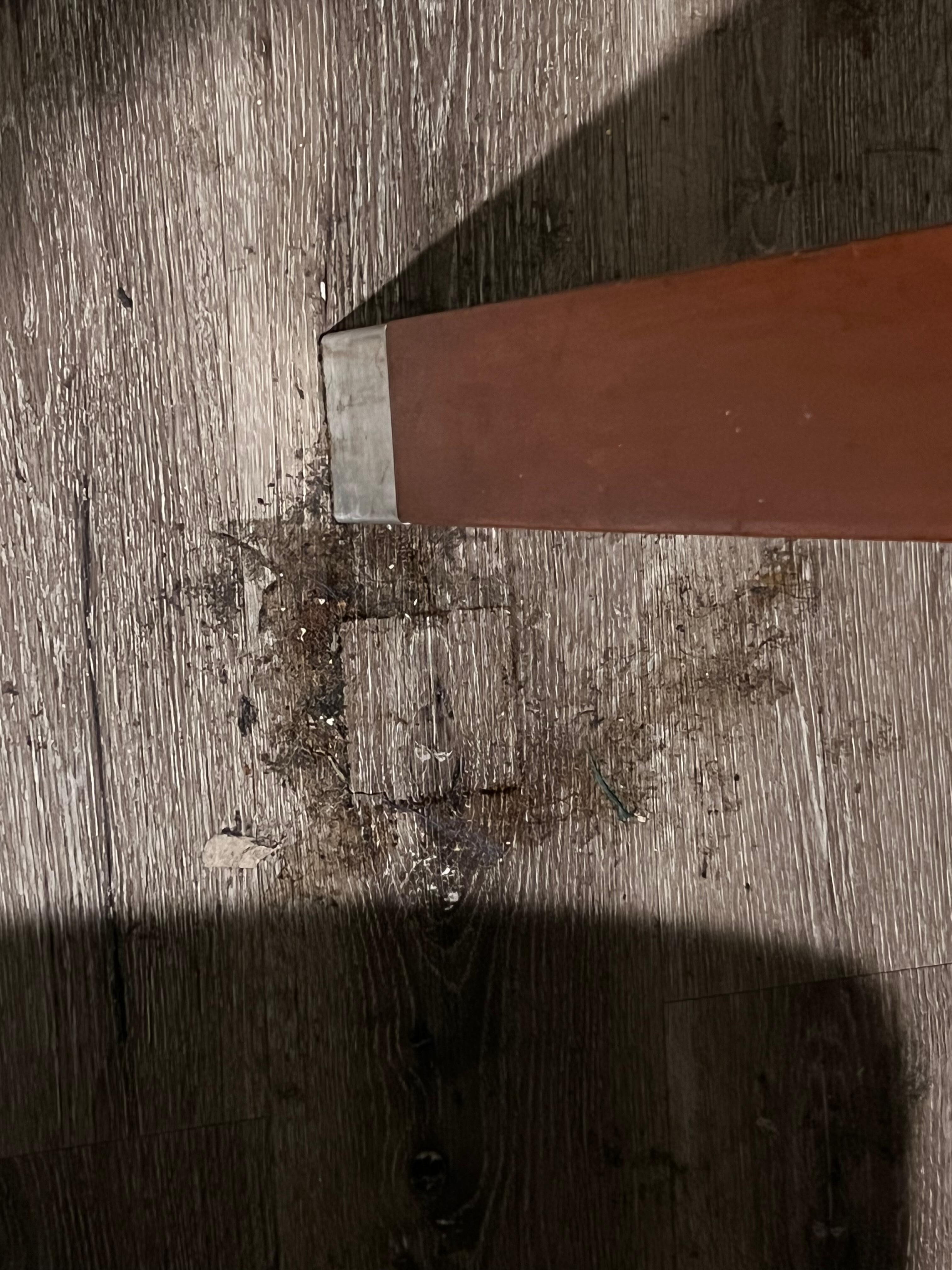 Filthy, sticky floor 