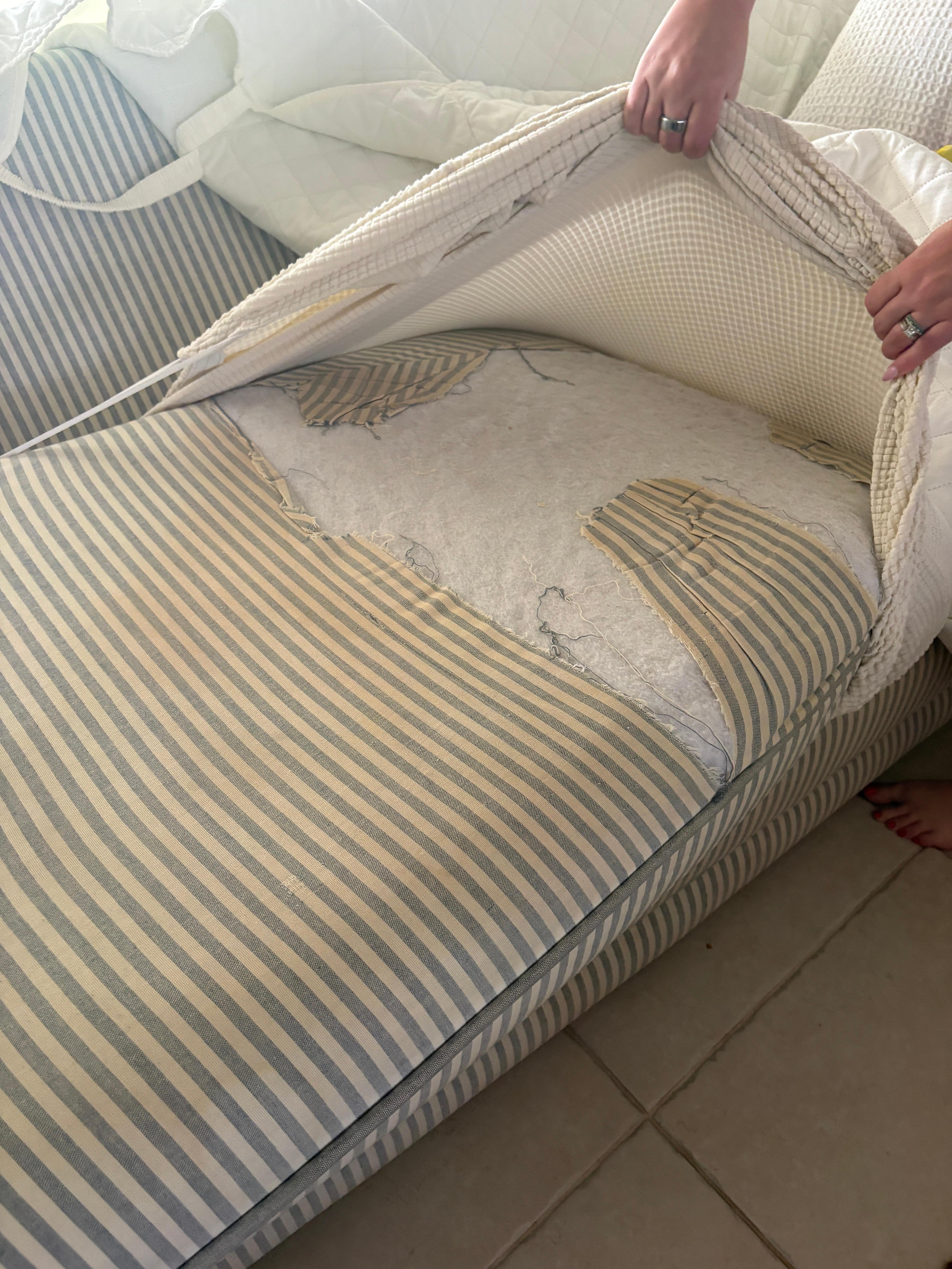 Couch in the living room