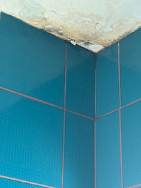 Shower w leaking 😳