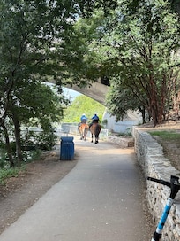 Walking path nearby