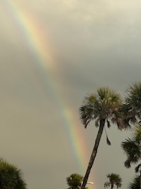 Great rainbow