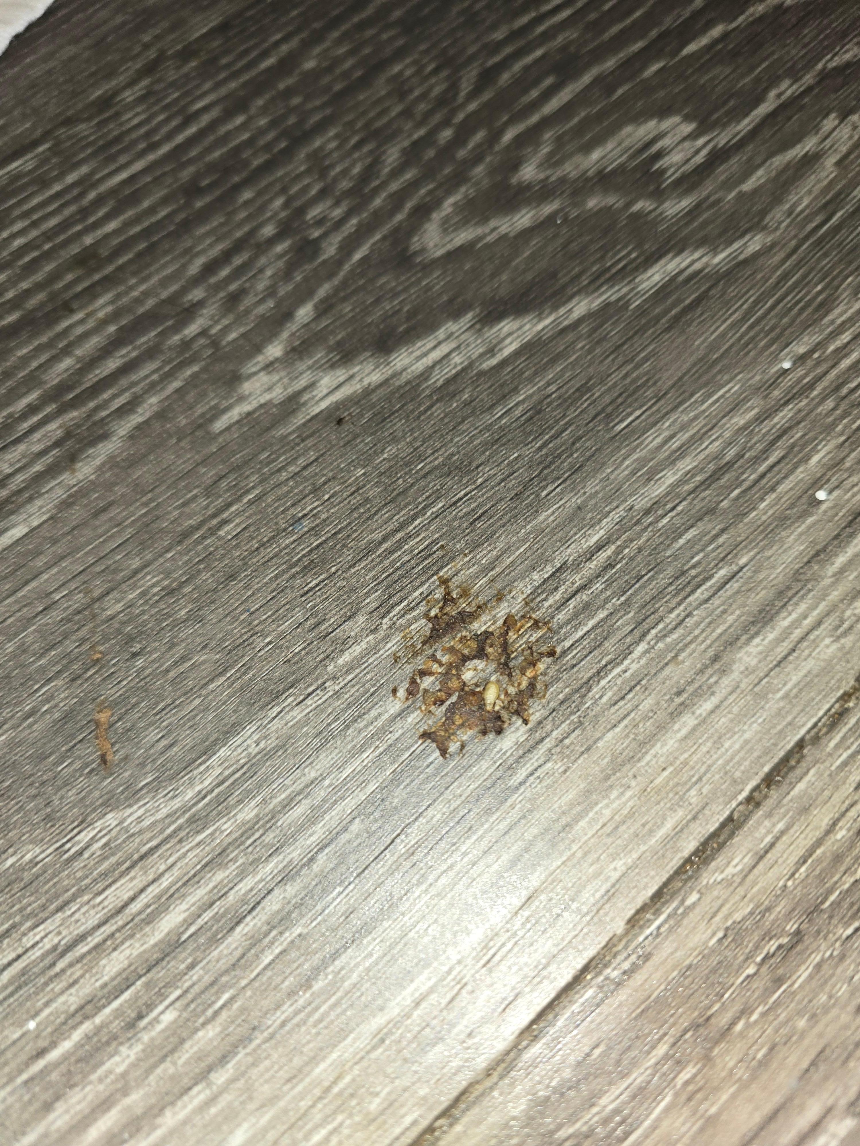 Once AGAIN something smashed on the BATHROOM FLOOR!!  Why wasn't our room cleaned???