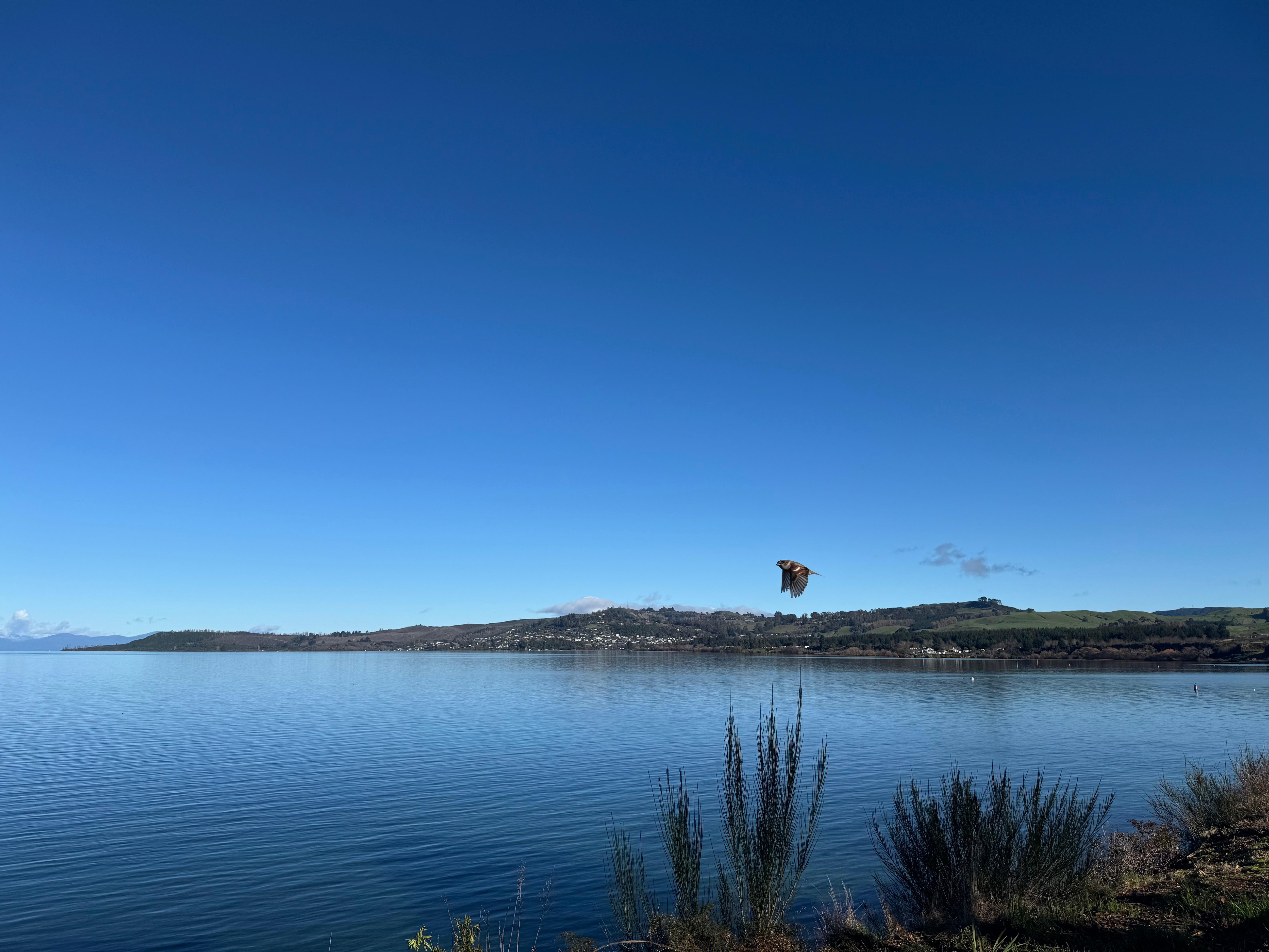 Early morning view of the lake