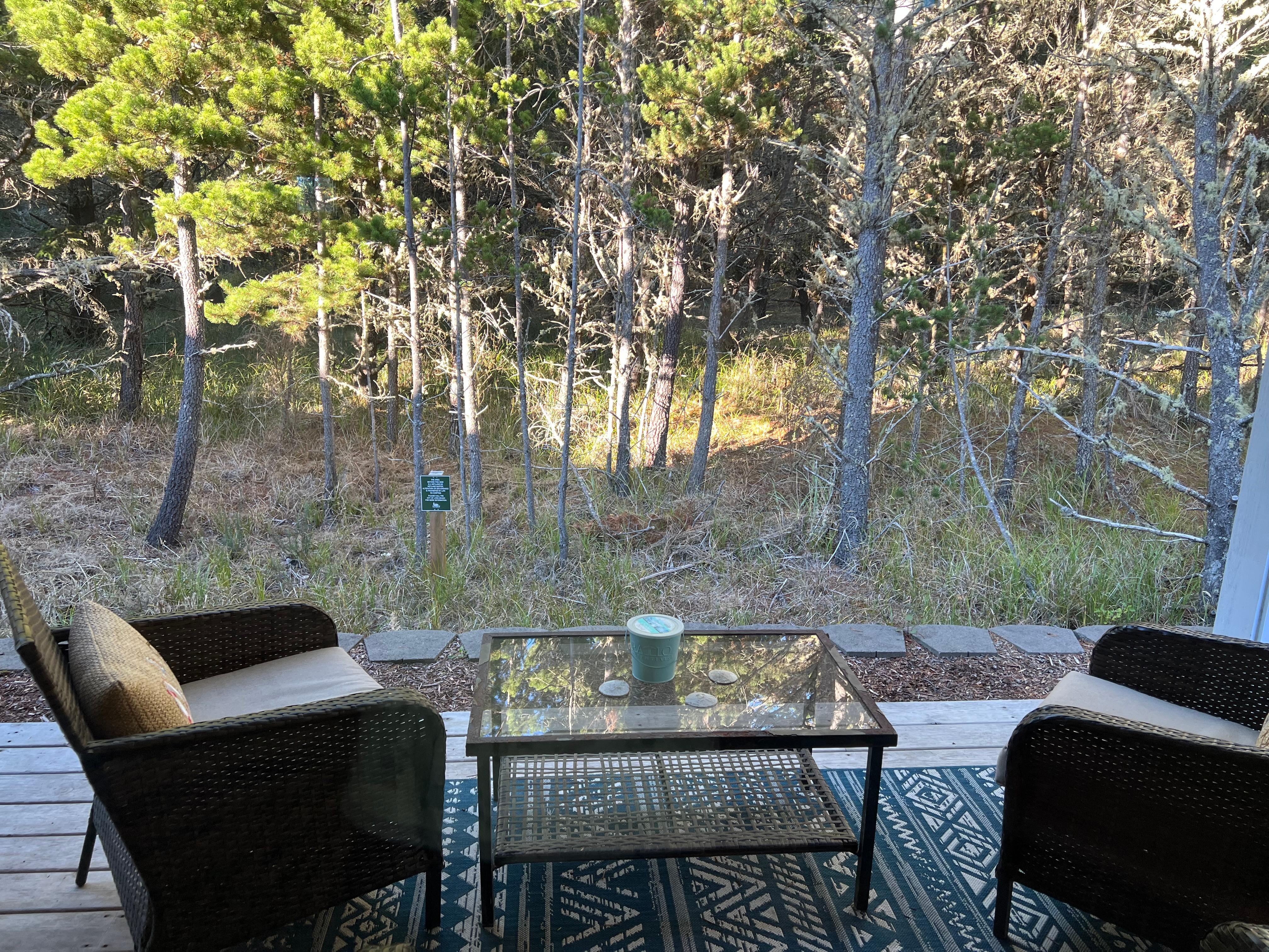 Property felt private and we could hear the ocean waves while sitting on the porch.