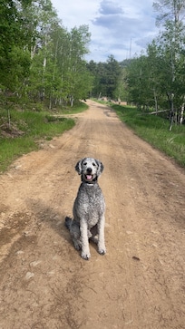 Great walks in the mornings