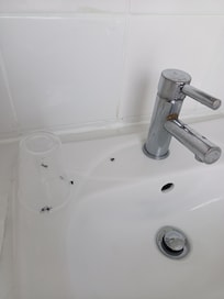 Flies in the bathroom
