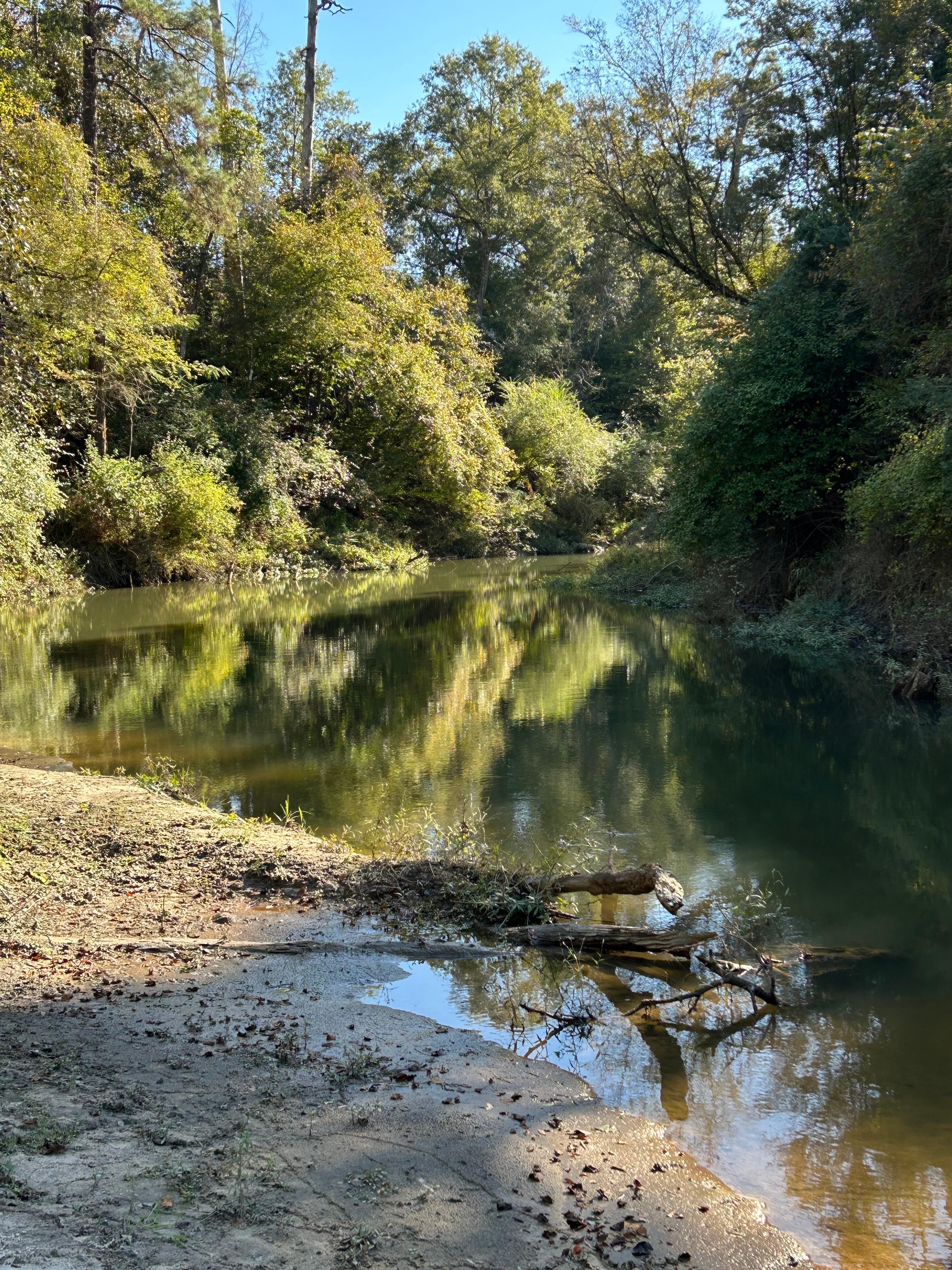 Sunny view of the creek