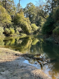 Sunny view of the creek