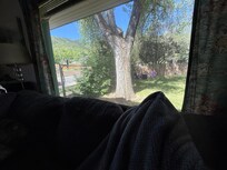 Front window view
