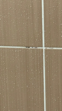 Salle de bain refaite à neuf mais présence de moisissures