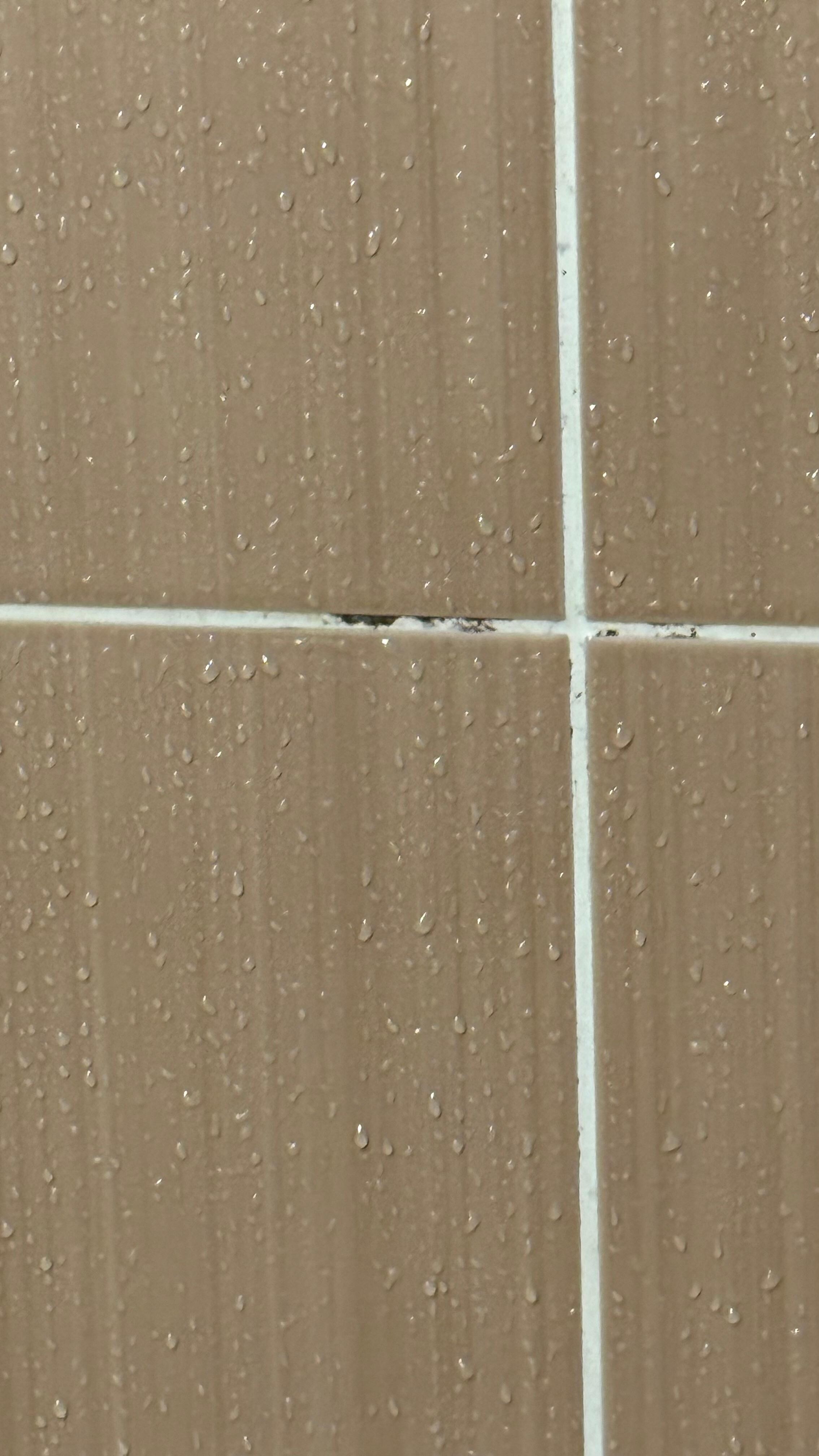 Salle de bain refaite à neuf mais présence de moisissures