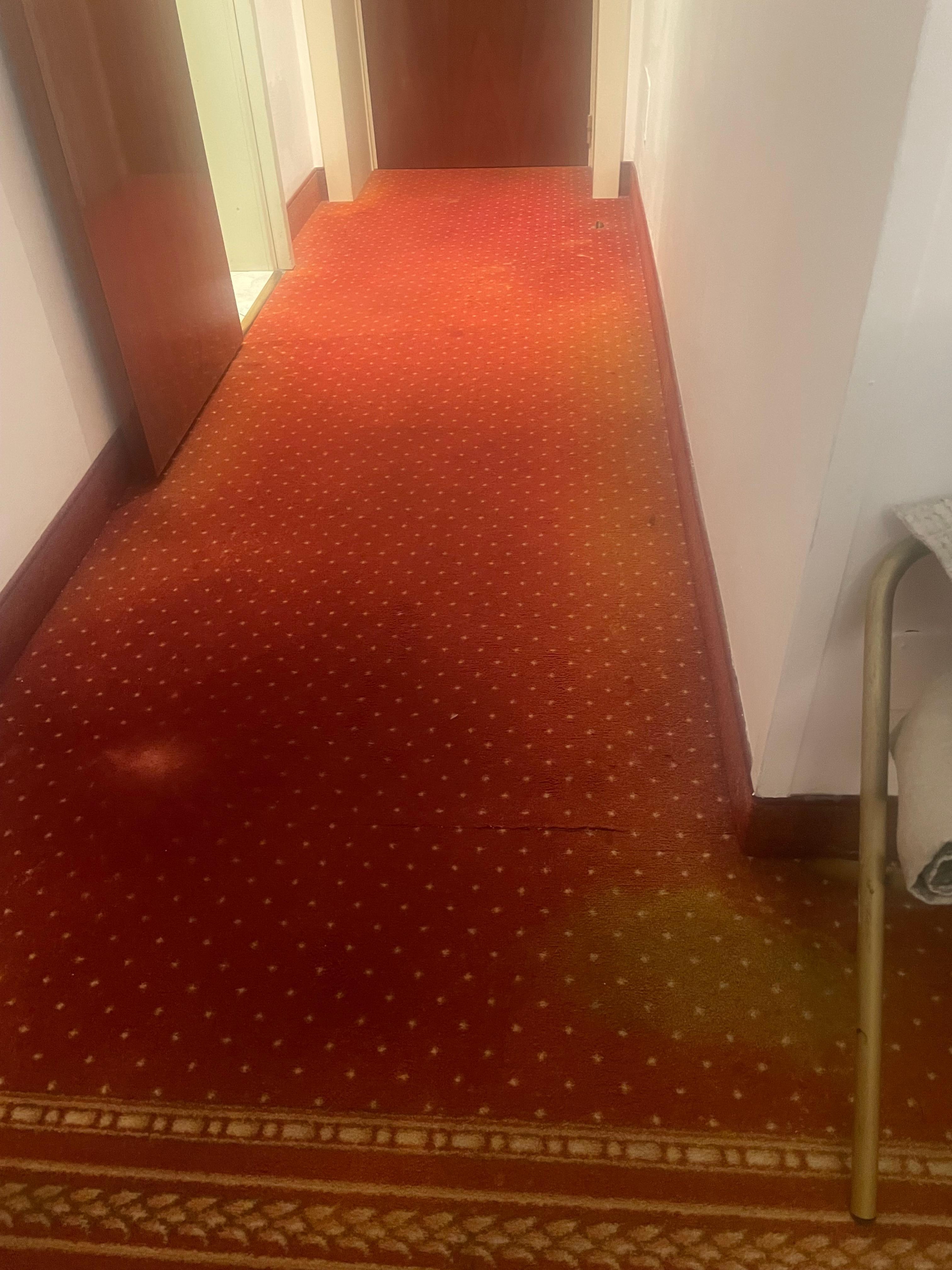 Gross carpet! Couldn’t take my shoes off. 