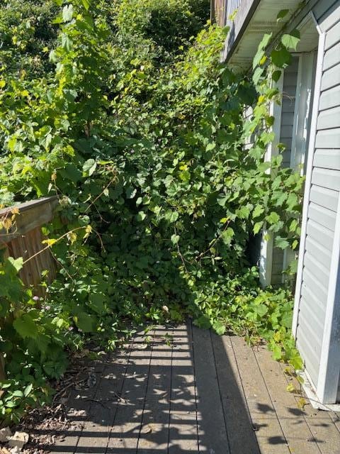 More vines