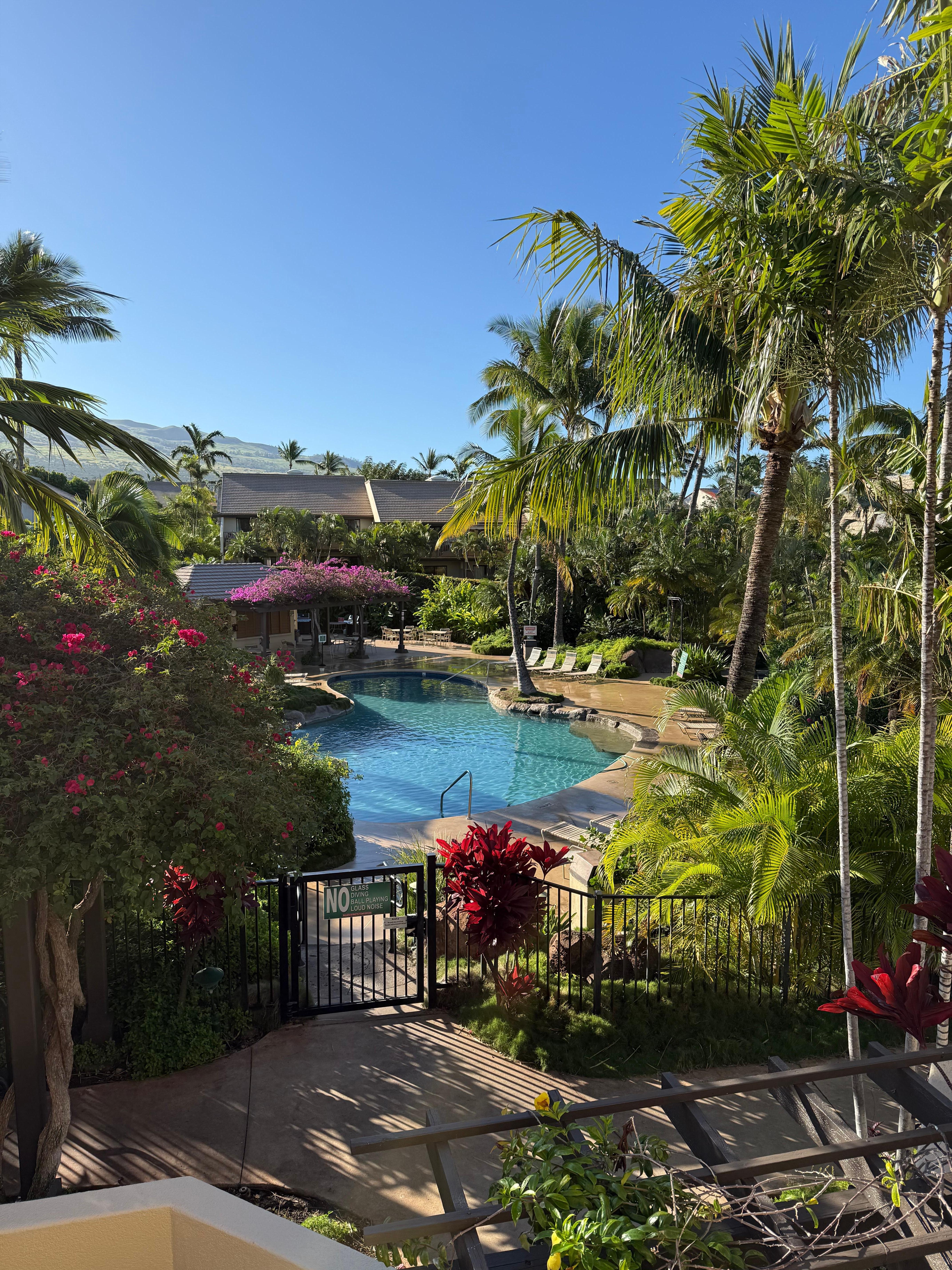 Pool view from unit