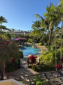 Pool view from unit