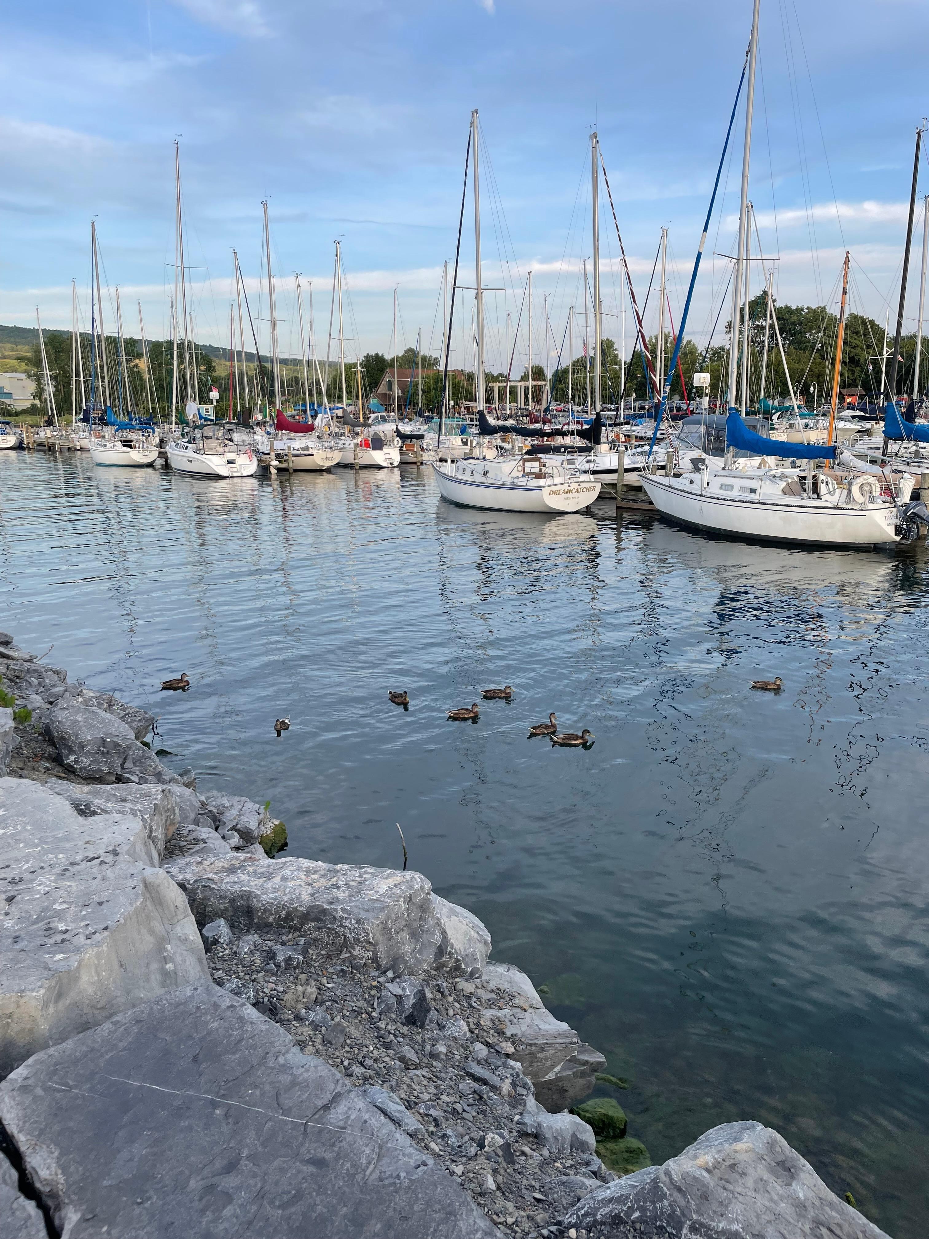 Seneca Lake marina