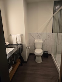Big bathroom, nice shower