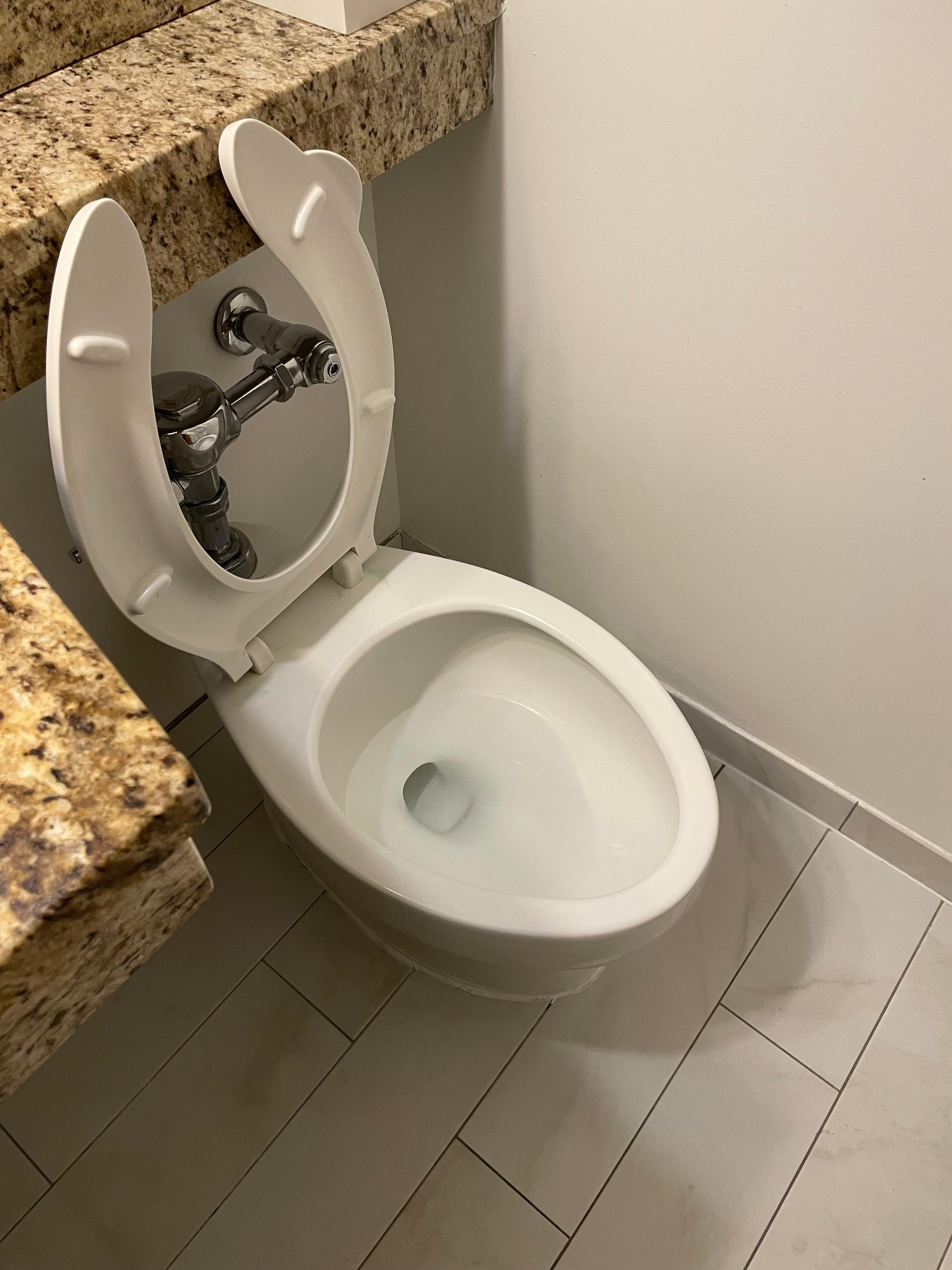 Jail cell toilet with no seat cover