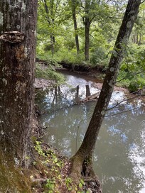creek out back!