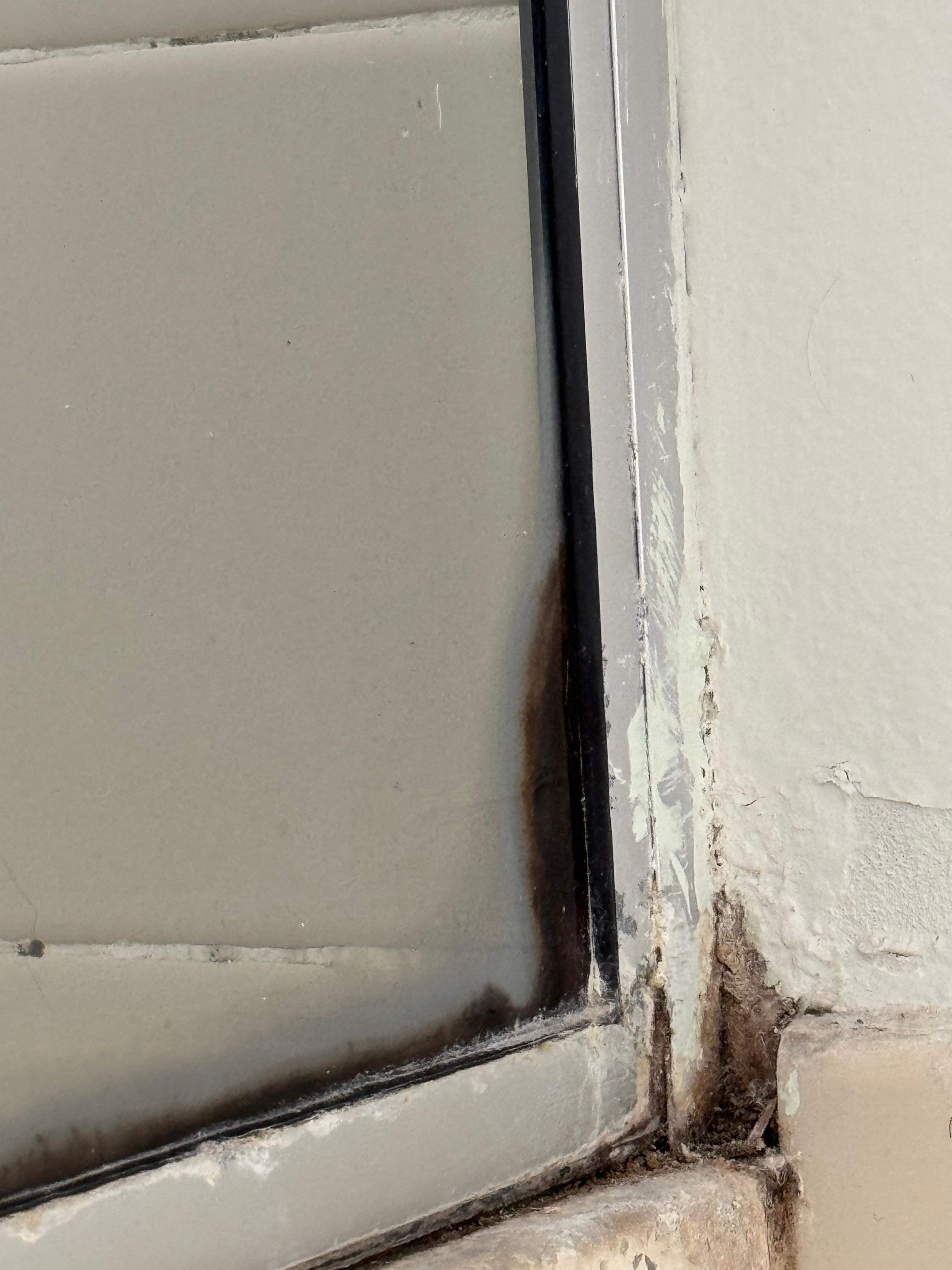 Mould on the shower screen/tiles. 