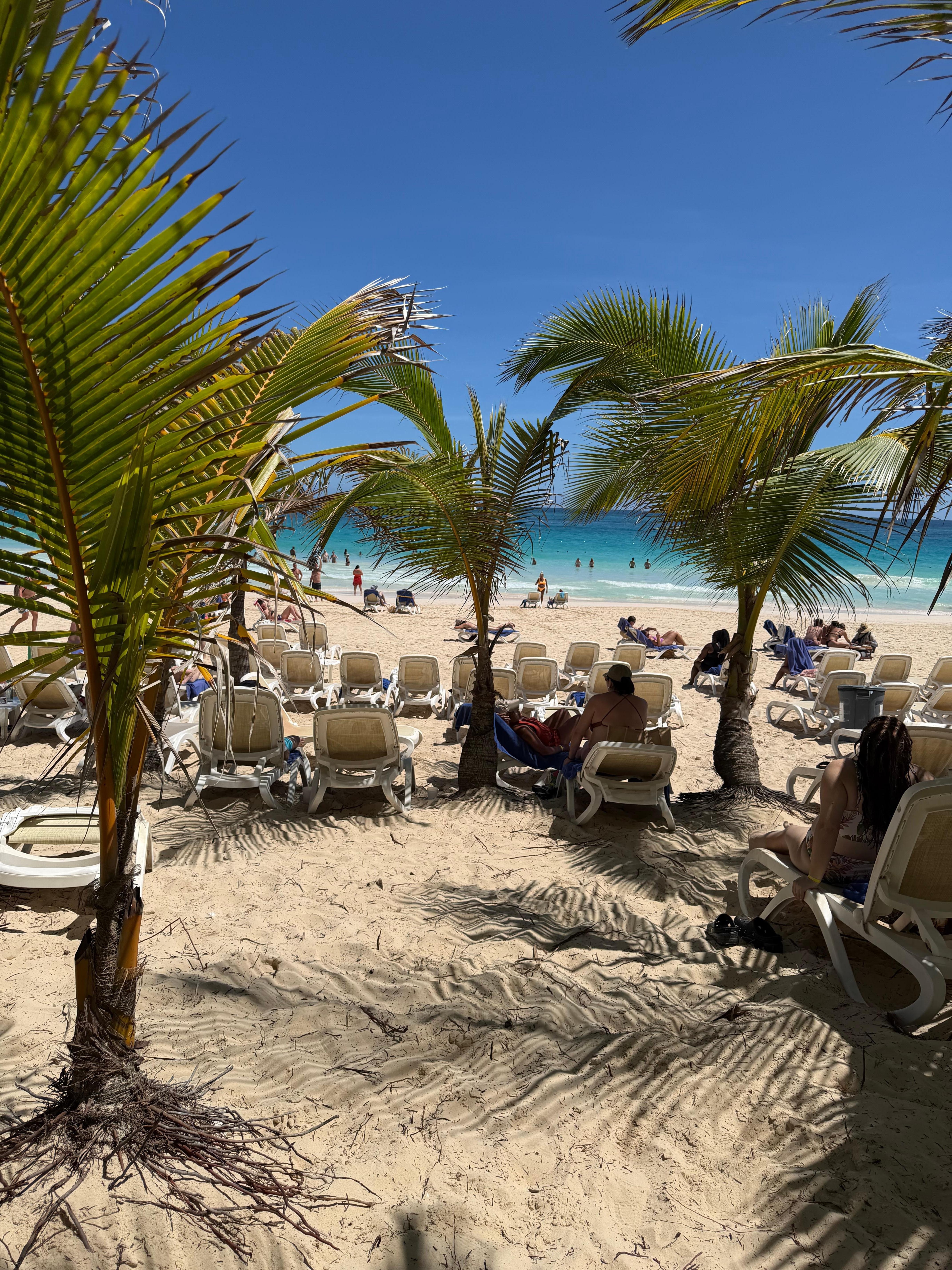Paradise 