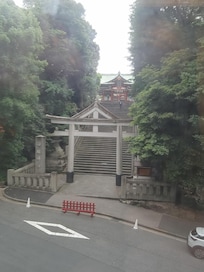 Veiw from the bedroom window
