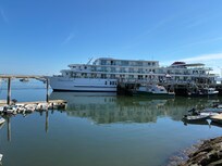 Whale watching tour in Hyannis