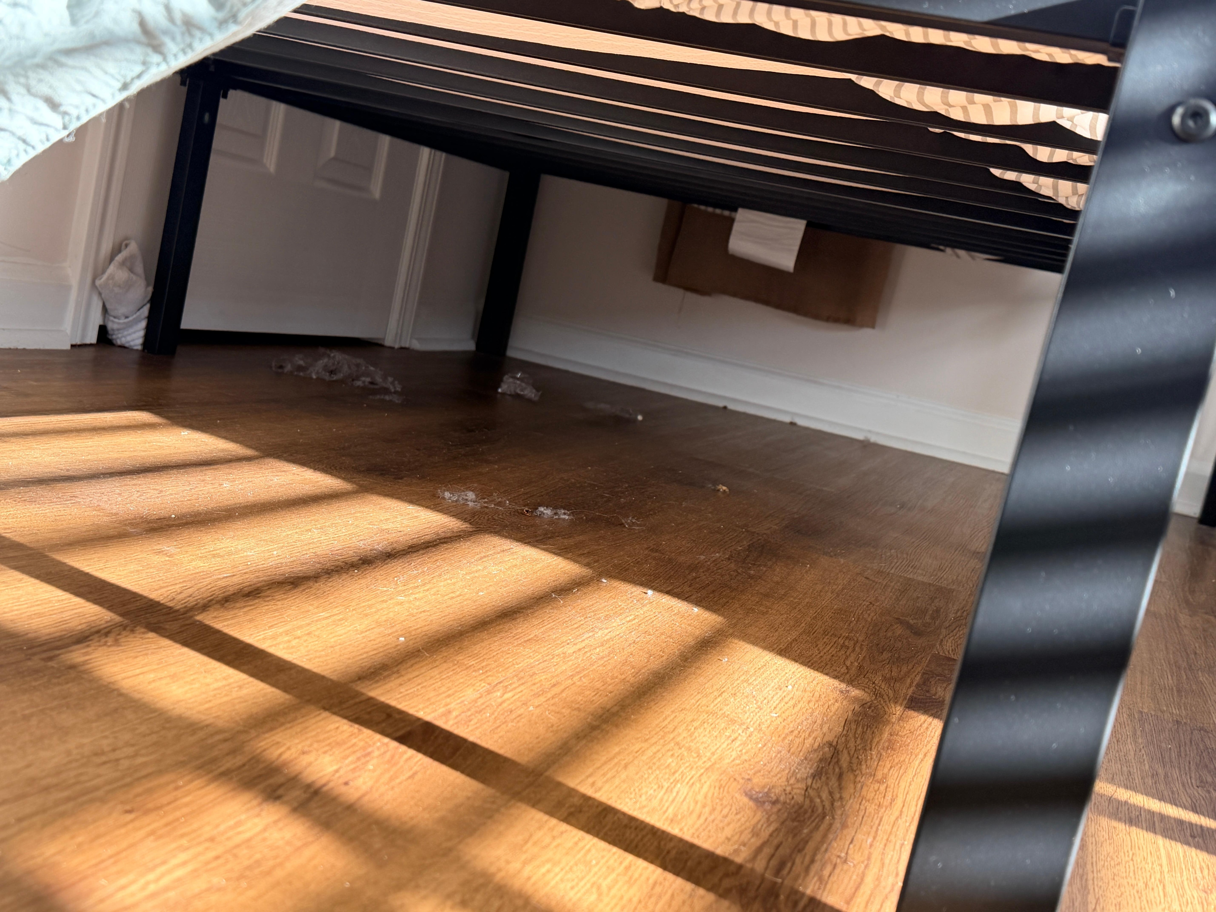 Large amounts of dust under one of the beds